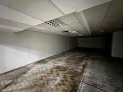 Parklane Shopping Mall (D7), Shop House #572986131